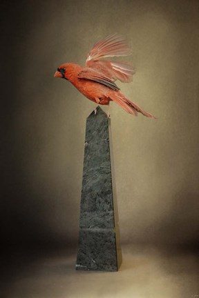 Framed Dancing On Marble Print