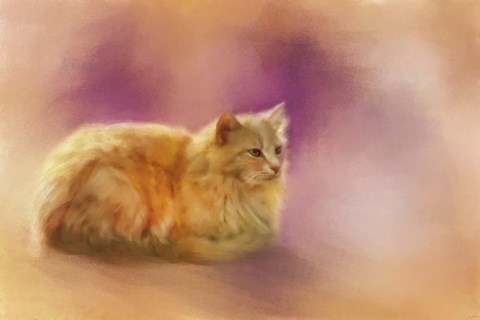 Framed Warmth Of A Perfect Day Print