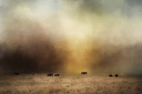 Framed Where The Buffalo Roam Print