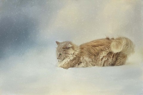 Framed Snow Diving Print