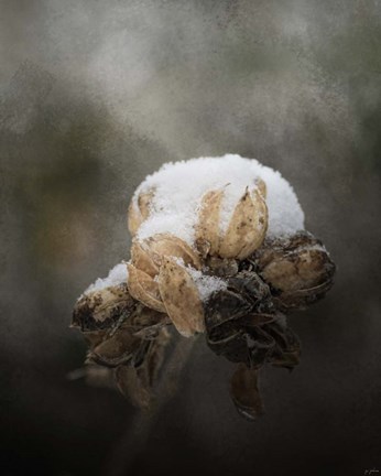 Framed Waiting On Spring Print