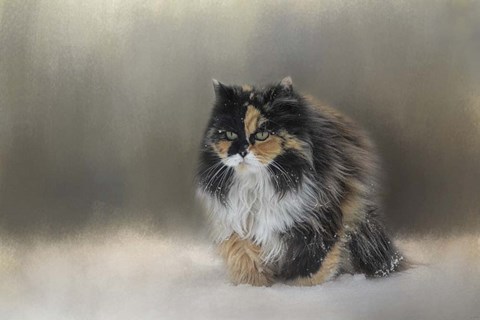 Framed Winter Journey Print