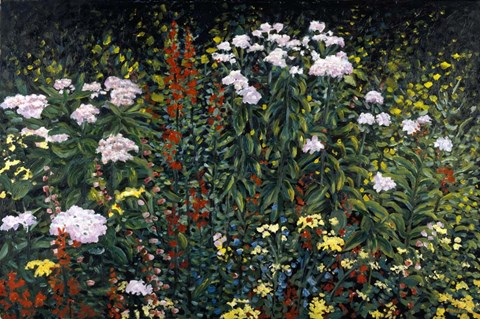 Framed Wildflower Garden Print