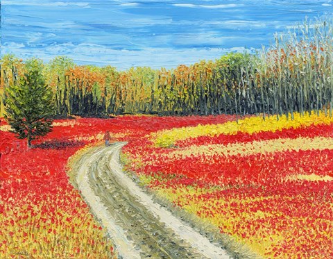 Framed Calumet Island Print