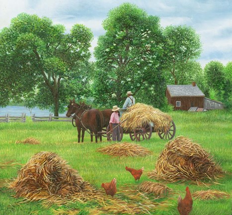 Framed Summers Bounty Print