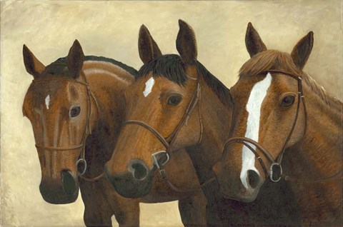Framed 3 Horses Print
