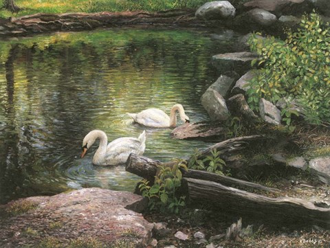 Framed Swan Song Print