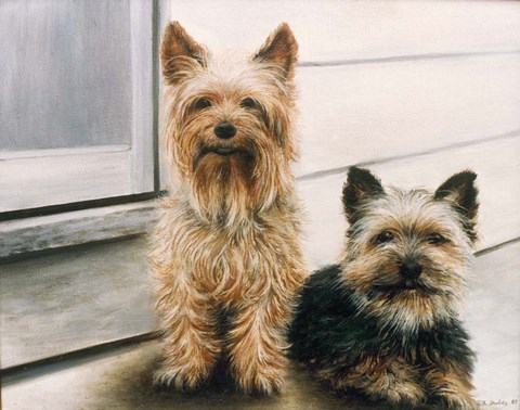 Framed Casey &amp; Clay Print