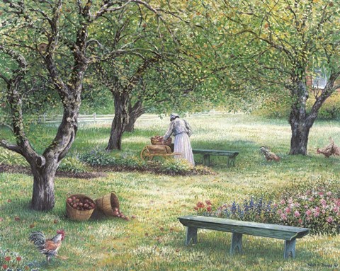 Framed Apple Orchid Print