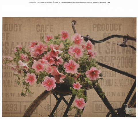 Framed Globe Cycle Print