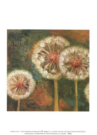 Framed Wishing Square I Print