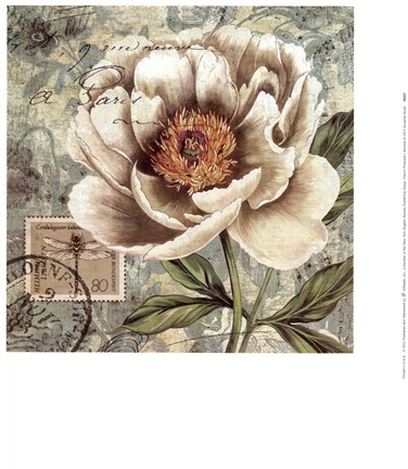 Framed French Postcard I Print