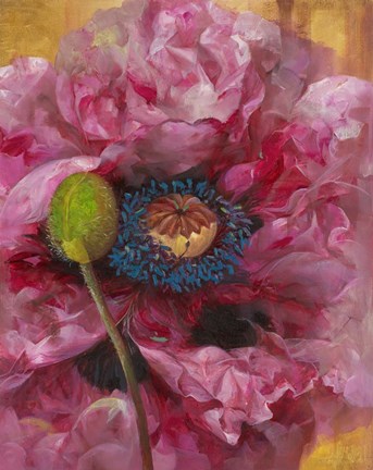 Framed Poppies II Print