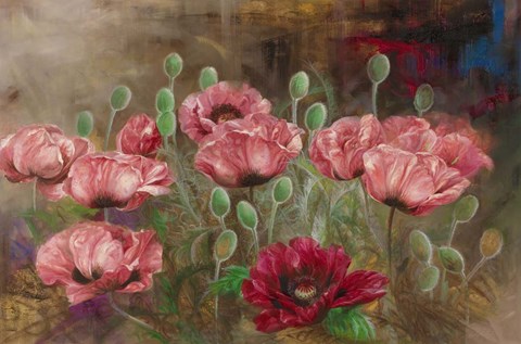 Framed Poppies IV Print