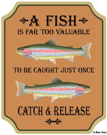Framed Fish Are Too Valuable Print