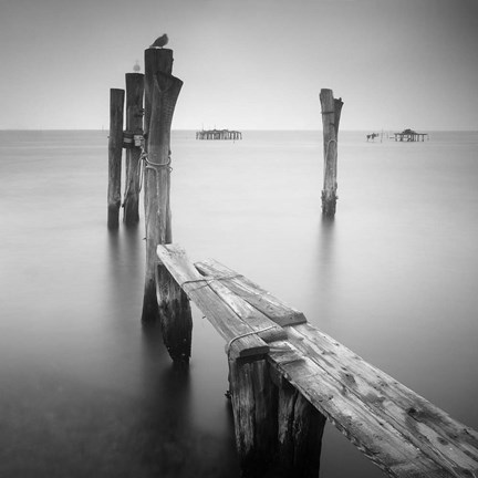 Framed Venice Path Print