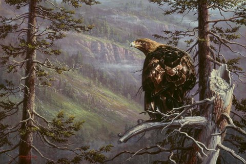 Framed Private Eye Print