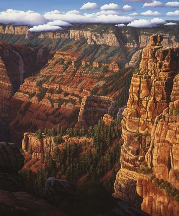 Framed World Of Wonders Print