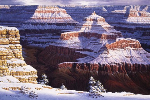 Framed Dream Catchers Print