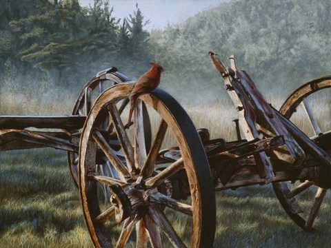 Framed Bird's Eye View Print