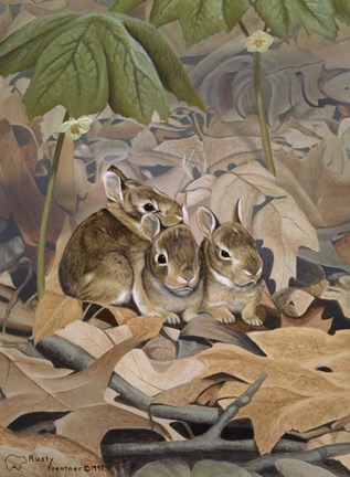 Framed Bunnies Print