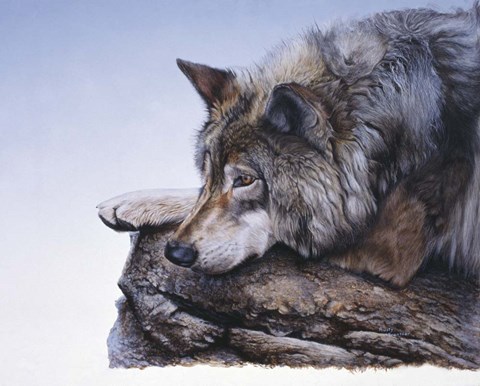 Framed On The Edge Print