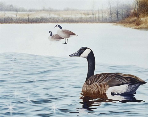 Framed Promise Of Spring Print