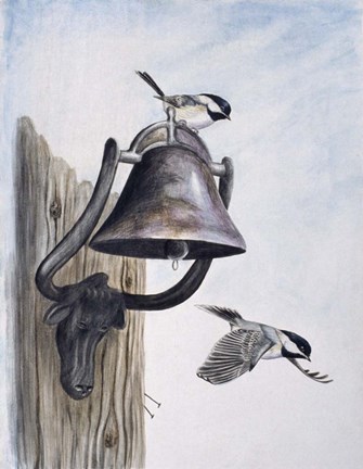 Framed Suet's On Print