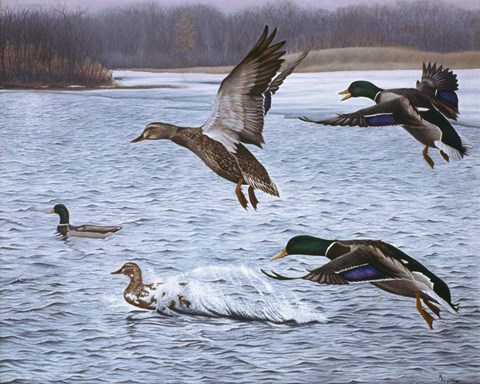 Framed Spring Arrivals Print