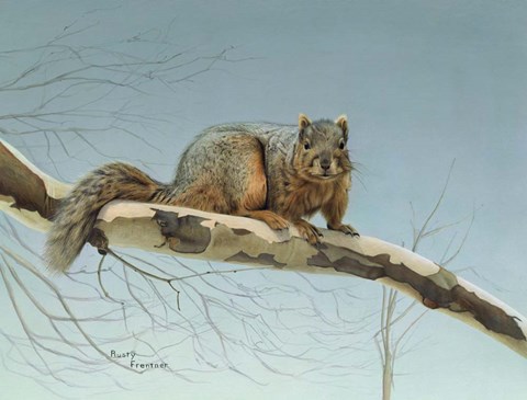 Framed Are You Nuts Print