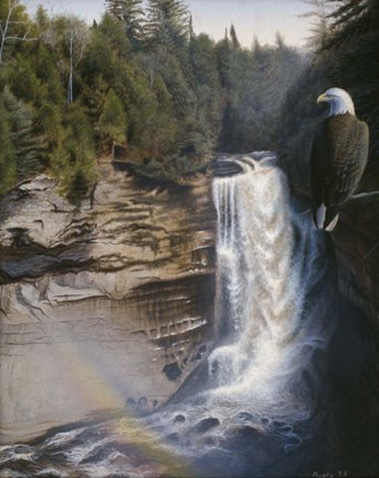 Framed Miners Falls Print