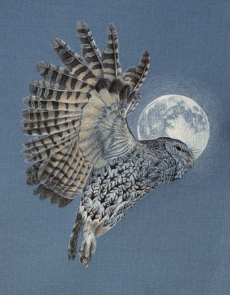 Framed Night Flyer Print