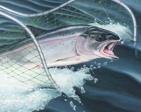 Framed Rainbow Print