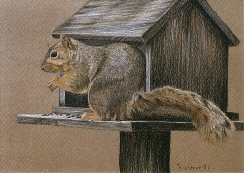 Framed Burglar Print