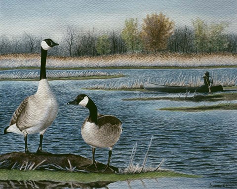 Framed Gander Study Print