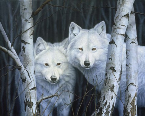 Framed White Magic Print