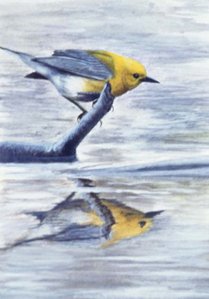 Framed Reflection 2 Print