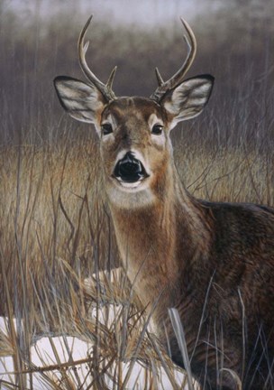 Framed On Guard Print