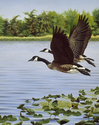 Framed South Bound Journey Print