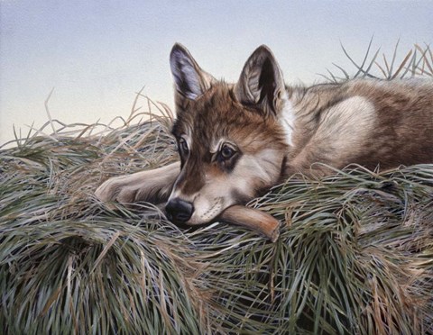 Framed Chewing On It Print