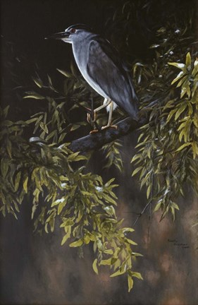 Framed Big Bird Print