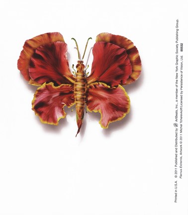 Framed Flamus Extremis Print