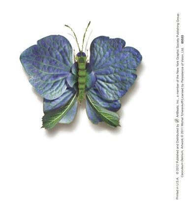 Framed Ceoruleum Delirium Print