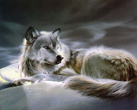 Framed Resting Place Print