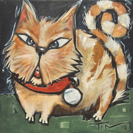 Framed Square Cat Print