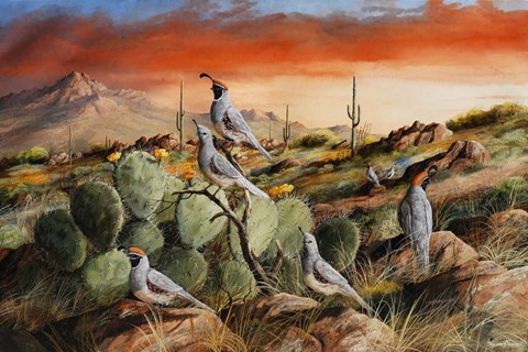 Framed Sunset in Spring Print