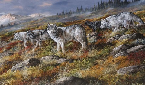 Framed Autumn In Alaska Print