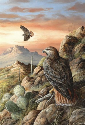 Framed Canyon Hunters Print