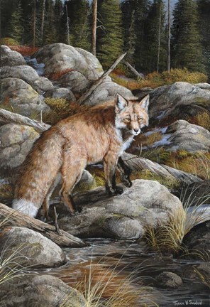 Framed Careful Stepper Print