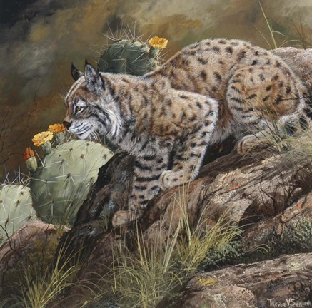 Framed Wild Cat Print